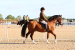 SBM_08139