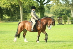 SBM_59323