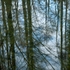 Reflections on the Shimna River, Co Down