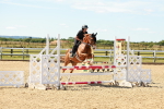 SBM_005442