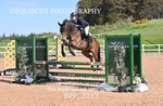 BPP_2013
