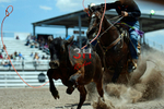 3HRodeo7-20-25_CFD_02468_