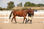 SBM_04528