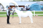 SBM_05929