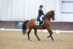 SBM_009579