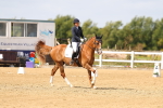 SBM_012021