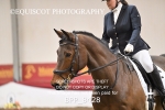 BPP_8428
