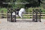 BPP_1411