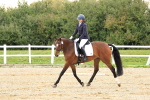 SBM_000172