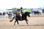 SBM_08775