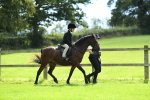 SBM_42534