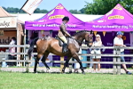 SBM_17444
