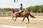 SBM_002564