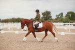 SBM_06090