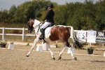 SBM_015104