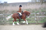 SBM_007197
