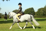 SBM_59891