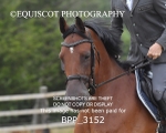 BPP_3152