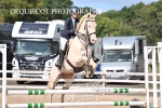 BPP_2771