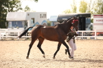 SBM_08196