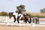 SBM_01911