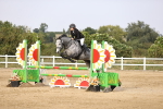 SBM_03713