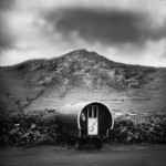 Traveler's Caravan