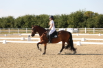 SBM_006973