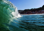 556 Shanklin Surf