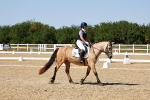 SBM_012711