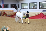 SBM_10729