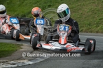 KARTING 2014 portfolio