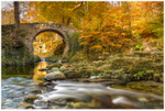 Foleys Bridge, Shimna River (IMG0690)