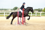 SBM_007999