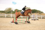 SBM_008019