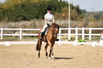 SBM_018630