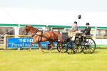 SBM_01190
