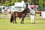 SBM_00640