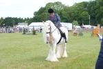 SBM_17173