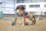 SBM_007688