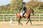 SBM_002437