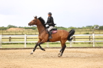 SBM_003019