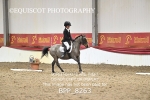 BPP_8263
