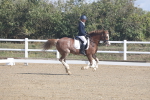 SBM_001556
