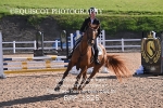 BPP_1825