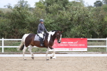 SBM_003011