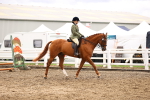 SBM_00529