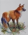 Outfoxed
