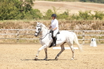 SBM_002888