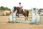 SBM_002008